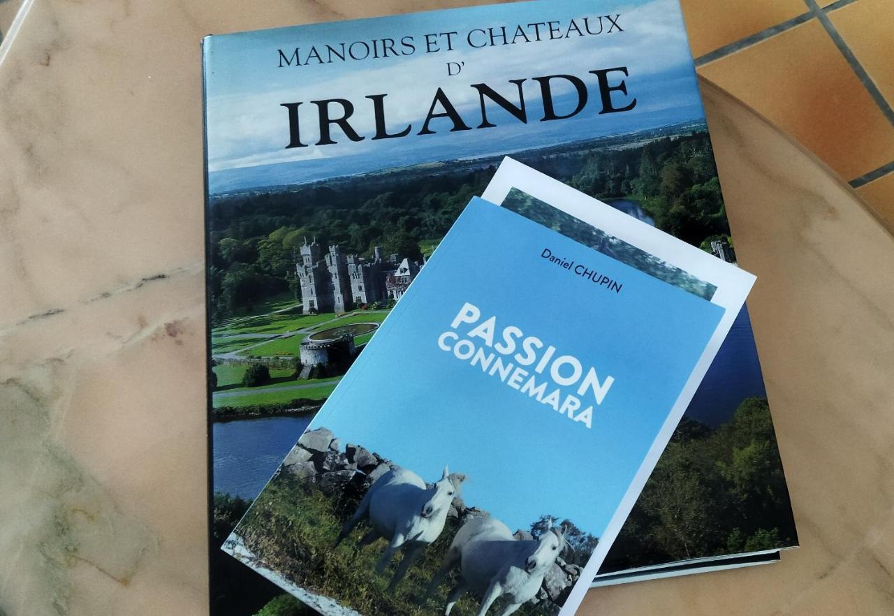 Maison De Campagne Au Coeur D'Un Elevage De Poneys Connemara Le Landreau Экстерьер фото